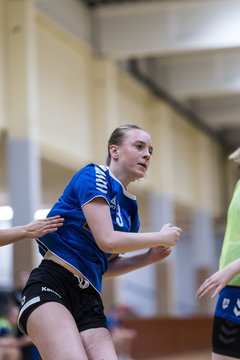 Bild 183 - wBJ TSV Ellerau - HSG Stoertal Hummeln : Ergebnis: 26:19